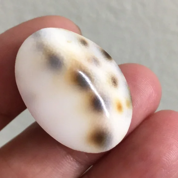 🖤Shell pin - Picture 6 of 7